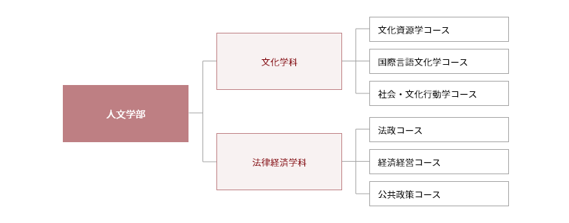 学部沿革