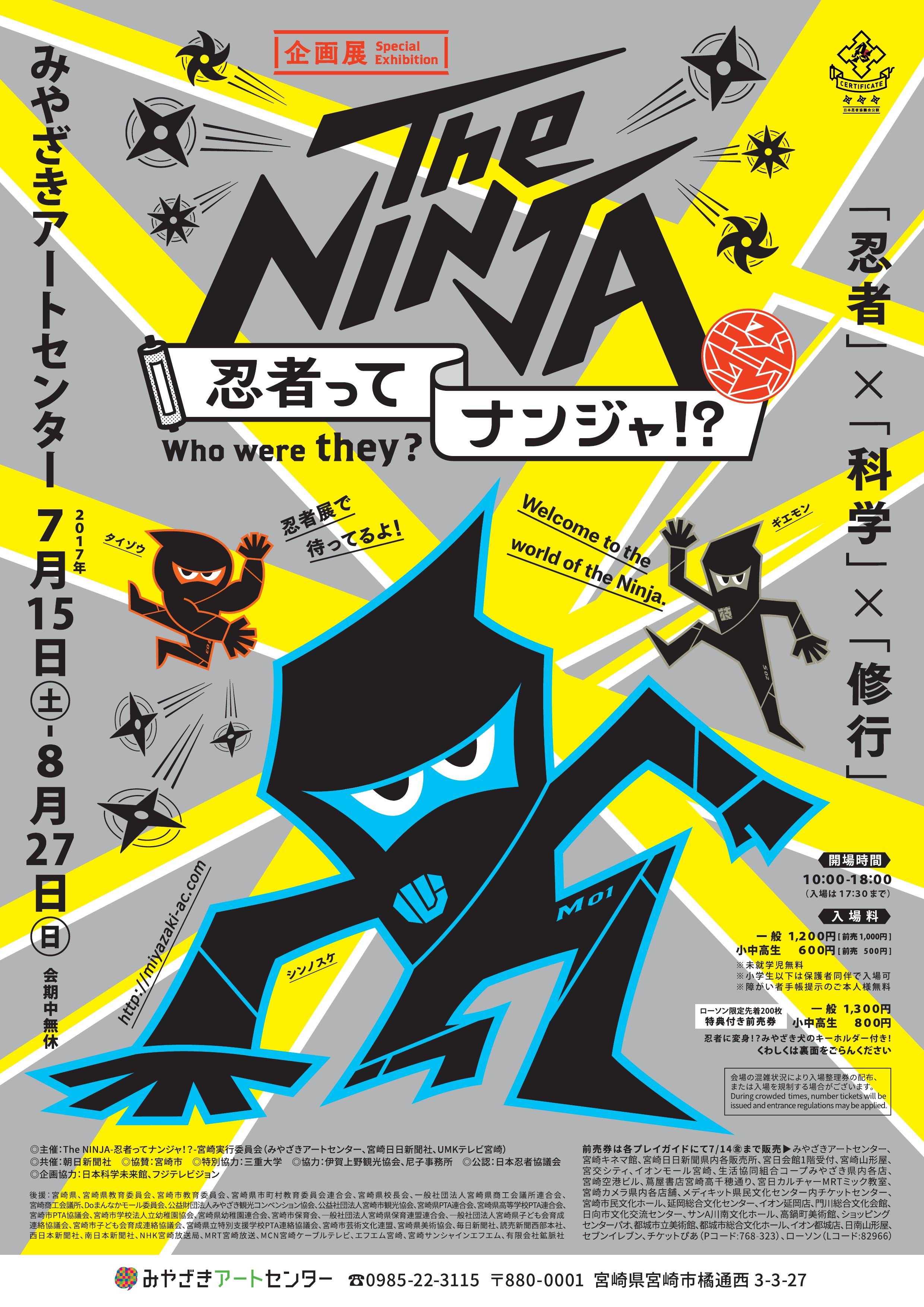 ninja1.jpg